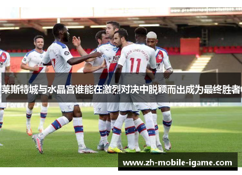 莱斯特城与水晶宫谁能在激烈对决中脱颖而出成为最终胜者