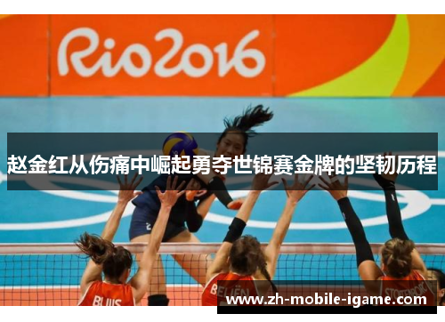 赵金红从伤痛中崛起勇夺世锦赛金牌的坚韧历程
