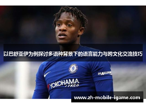 以巴舒亚伊为例探讨多语种背景下的语言能力与跨文化交流技巧 以巴舒亚伊为例探讨多语种背景下的语言能力与跨文化交流技巧