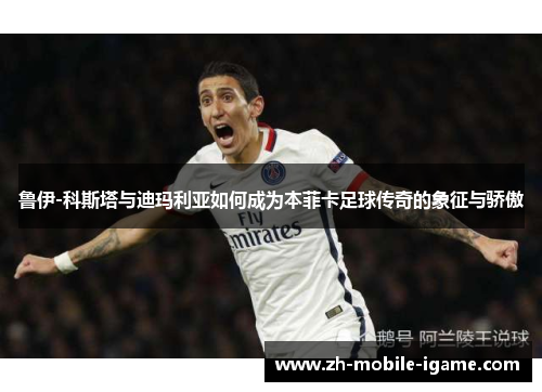 鲁伊-科斯塔与迪玛利亚如何成为本菲卡足球传奇的象征与骄傲