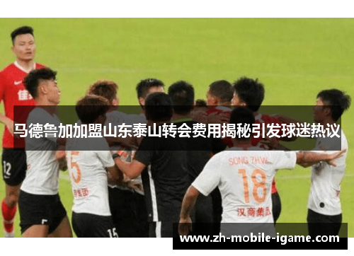 马德鲁加加盟山东泰山转会费用揭秘引发球迷热议