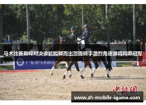 马术比赛巅峰对决谁能脱颖而出顶级骑手激烈角逐谁将问鼎冠军