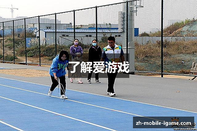 了解爱游戏